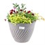 Planted Bali Round 12'' Seasonal Container - Autumn