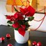 Poinsettia Christmas Houseplant - Red 10.5cm