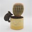 Potty Feet Decorative Pot Feet -  Antique Bronze Pig (PB0042)
