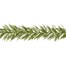 Premier 2.7m (9ft) Natural Touch Artificial Christmas Garland (TG257310)