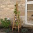 Smart Garden Woodland Obelisk - Tan 1.5m (5054000)