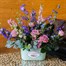 Summery Flower Tin Floral Arrangement 