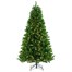 Tree Classics 2.1m (7ft) Blue Green Arctic Spruce Pre-Lit with Warm LEDs Artificial Christmas Tree (H84-854-386LM)