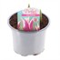 Tulip Ballade 10.5cm Pot Bedding Bulbs