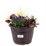 Wooden Barrel Design Seasonal Bedding Planted Container 10 Inches - Summer