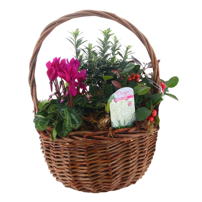 Christmas Festive Medium Brown Wicker Basket Bedding Bulb Planter