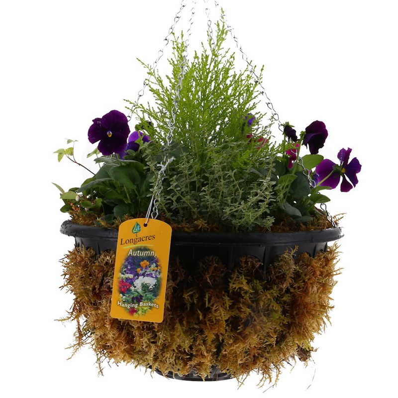 Hanging Seasonal Mossed Bedding Basket 14 Inches - Autumn