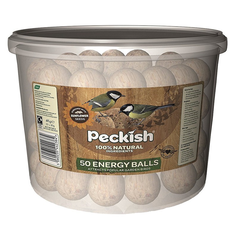 quail food