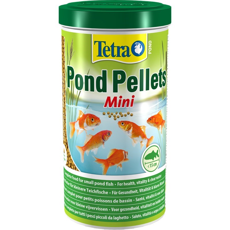 tetra fish food