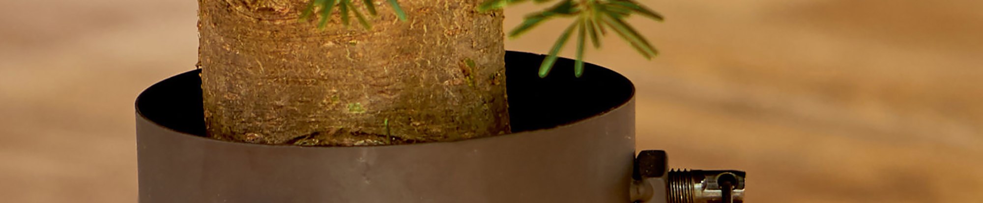 Christmas Tree Stands