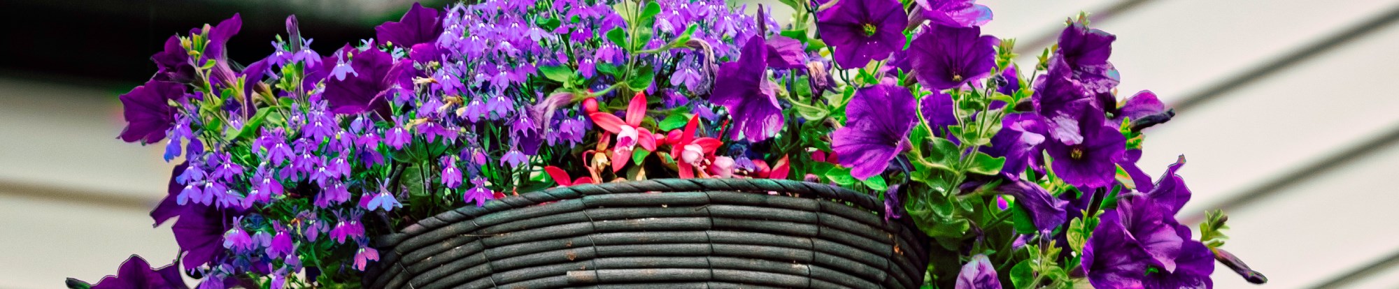 Artificial Hanging Baskets