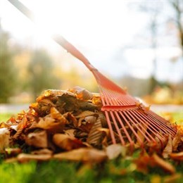 Autumn Lawn Care & Maintenance