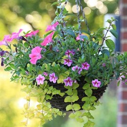 Bedding Baskets & Containers