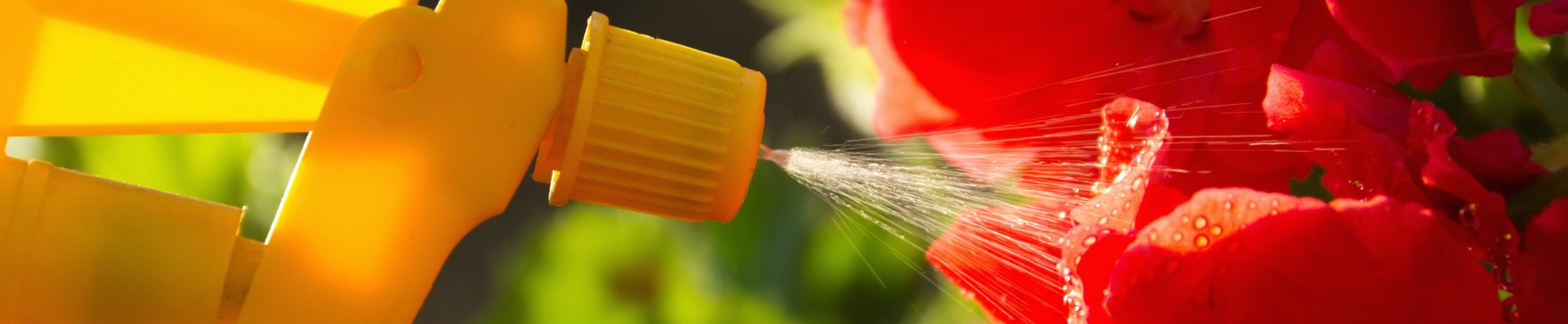 Chemicals and Fertilisers
