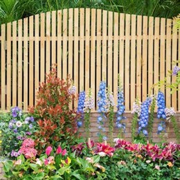 Fencing and Landscaping