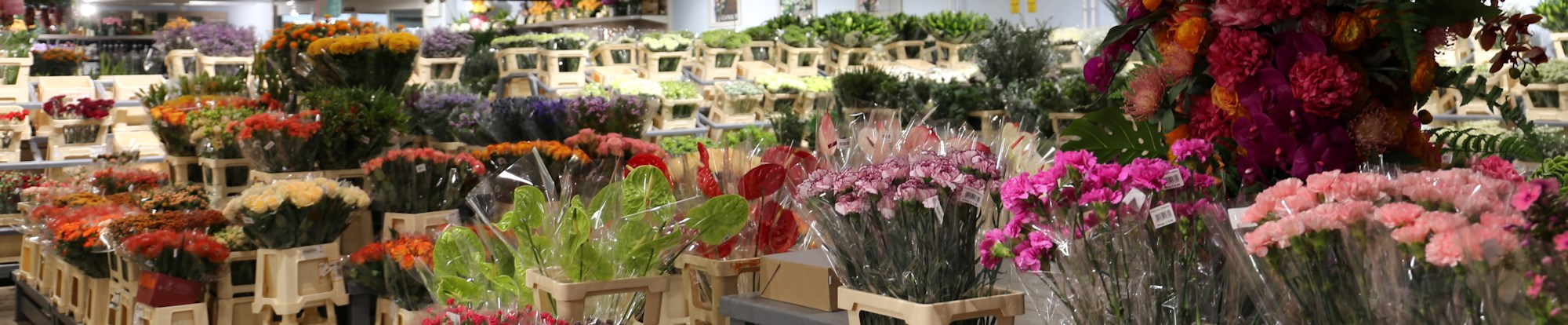 Individual Flower Bunches