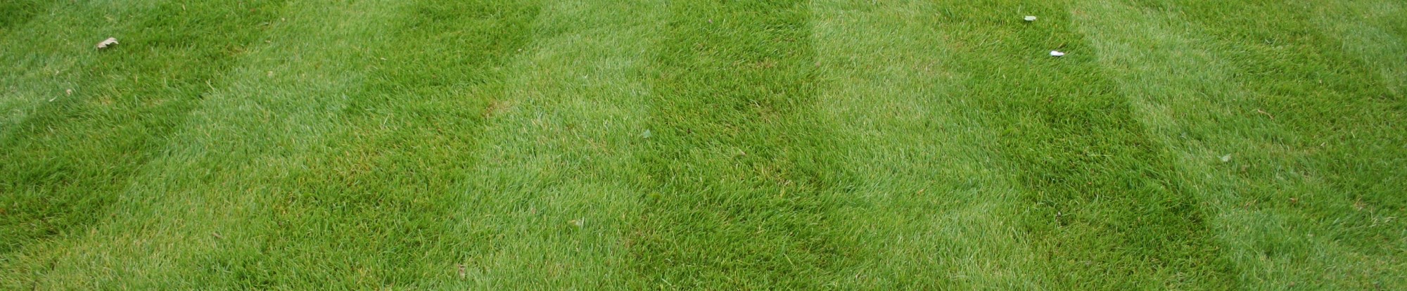 Lawn Care