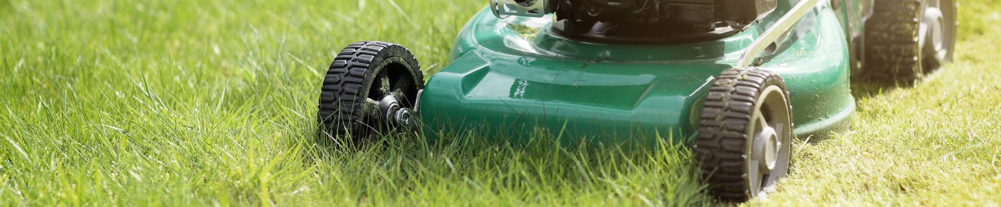 Lawn Mowers