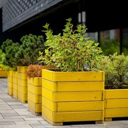 Planters, Wooden Planters & Wall Planters