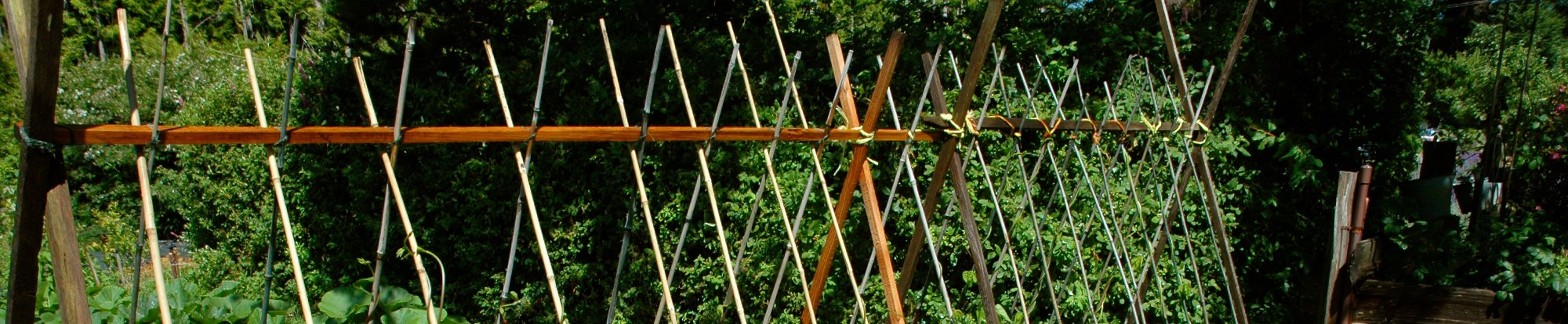 Plant Protection and Support