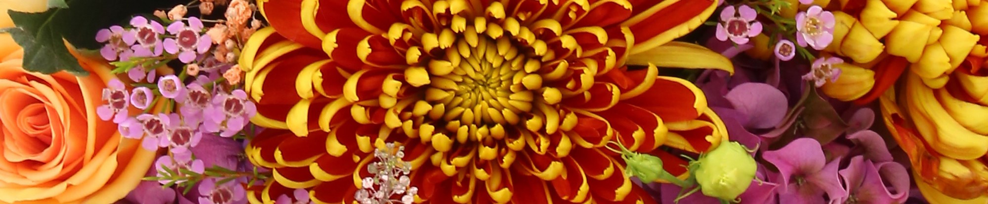 Autumn Bouquets & Arrangements