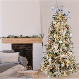Indoor Christmas Lights