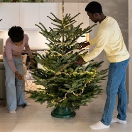 Real Christmas Trees - Nationwide Delivery