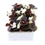 Begonia Semp White Bronze Leaf 12 Pack Boxed BeddingAlternative Image2