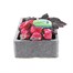 Begonia Mocca Pink Shades 6 Pack Boxed BeddingAlternative Image1