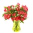 Red Alstromeria Letter Box Flowers Alternative Image2
