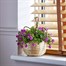 Smart Garden Basket Bouquet - Purple (5040055)Alternative Image1