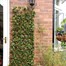 Smart Garden Lemon Leaf Willow Artificial Trellis Screening 180 x 60 cm (5045082)Alternative Image3