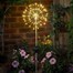 Smart Garden Starburst Solar Light Stake (1012547)Alternative Image1
