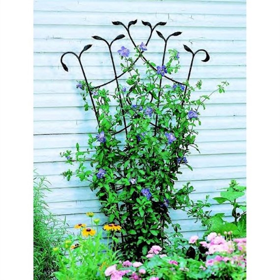 Panacea Forged Fan Trellis with Leaves - Black (89482)