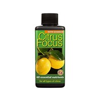Growth Technology Citrus Focus 300ml (GTCIT300)