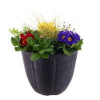 Planted Genesis Pot 12 Inches Outdoor Bedding Container - Spring
