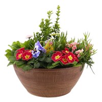 Planted Linden Bowl 12 Inch Outdoor Bedding Container - Spring