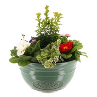 Planted Olive Bowl Outdoor Bedding Container - Spring