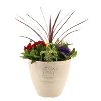 Planted Sincere Planter 23cm Outdoor Bedding Container - Spring