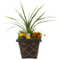 Planted Tuscan Deco Square Pot 31cm Outdoor Bedding Container - Spring
