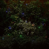 Smart Garden 50 Multi Coloured LEDs Solar String Lights (1060010RP)