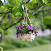 Smart Garden Basket Bouquet - Purple (5040055)