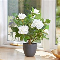Smart Garden White 40cm Artificial Potted Rose (5607502)