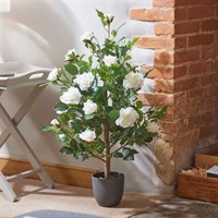 Smart Garden White 80cm Artificial Potted Rose (5607562)